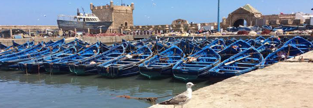 Excursion Essaouira en privé départ Marrakech